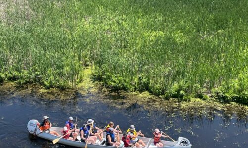 Canoe in Pelee Park Canada