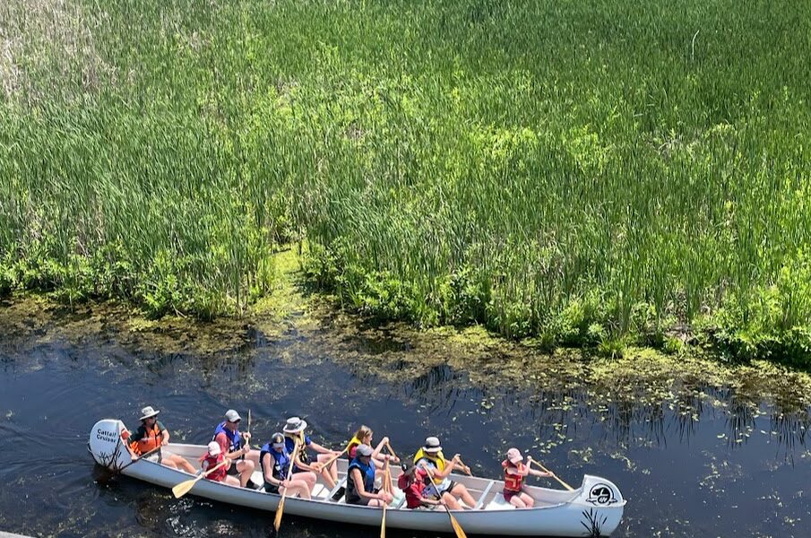 Canoe in Pelee Park Canada
