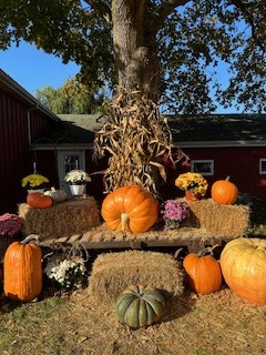 Fall pumpkins and hay bales
